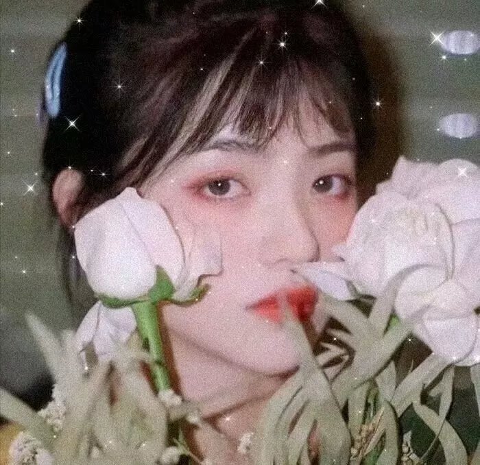 铁血精英