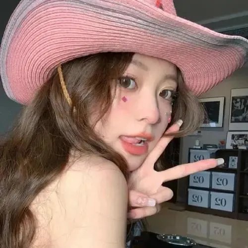 第一夫人的秘密